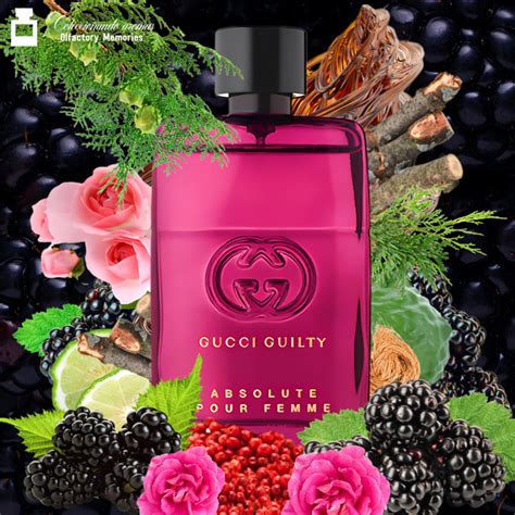 gucci absolute perfume base notes decant|absolute pour femme Gucci.